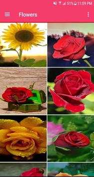 Flower Wallpapers 5 تصوير الشاشة