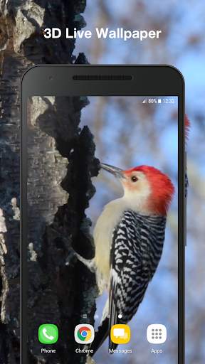 Bird Live Wallpaper PRO screenshot 1