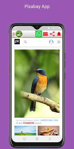 Pixabay App screenshot 3