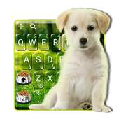 Innocent Cute Puppy Keyboard Theme 6.4.1.2019