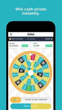 Qriket screenshot 3
