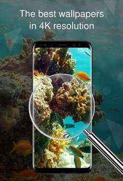 Wallpaper 4K with reefs screenshot 3
