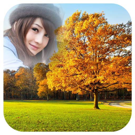 Forest Photo Frames 1.12
