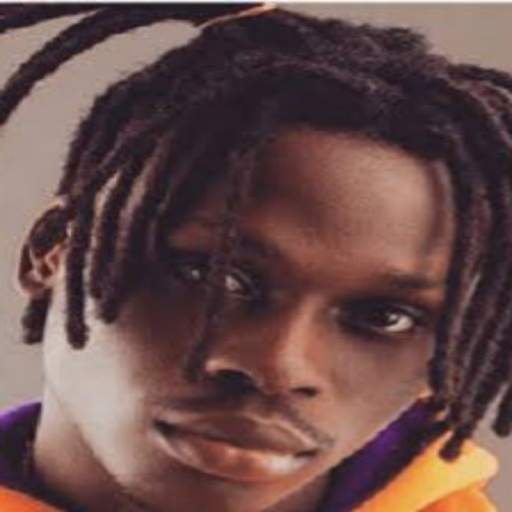 Fireboy DML Songs 1.0