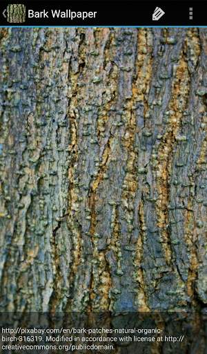 Bark Wallpaper screenshot 3