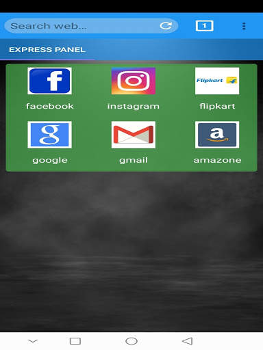 Private browser screenshot 2