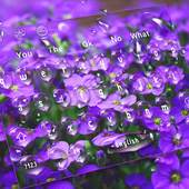 Purple Flower Waterdrop Keyboard Theme 10001001