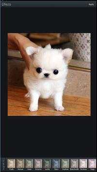 Photo Apps For Android Free screenshot 1