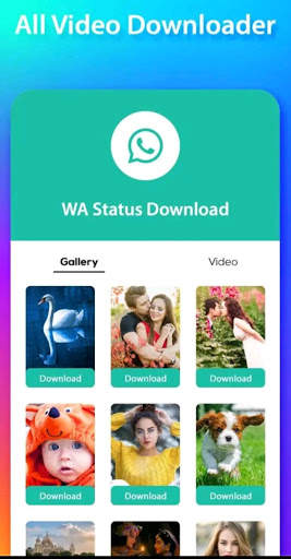 Video Downloader - Download Videos Free & Fast screenshot 6