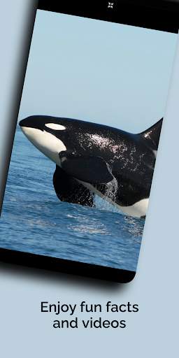 Natural History Museum screenshot 7