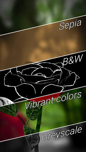 3D Rose Live Wallpaper Lite screenshot 4
