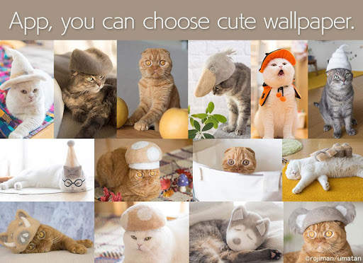Wallpaper: Cats' Hair Hats screenshot 1