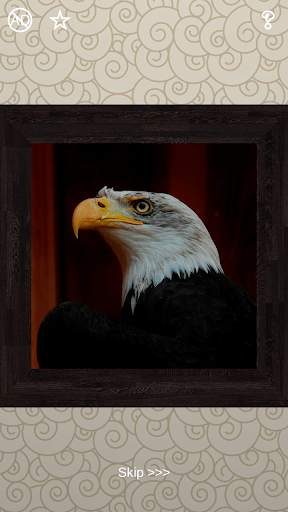 Birds Puzzles - 100 Pictures screenshot 2