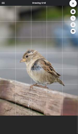 Drawing Grid 8 تصوير الشاشة
