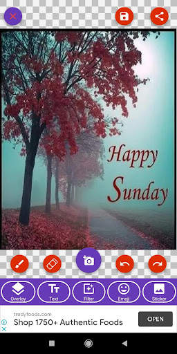Happy Sunday: Greetings, GIF W 3 تصوير الشاشة