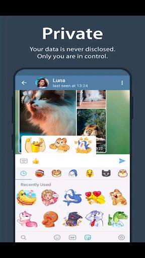 Encrypted messenger (2021) screenshot 4