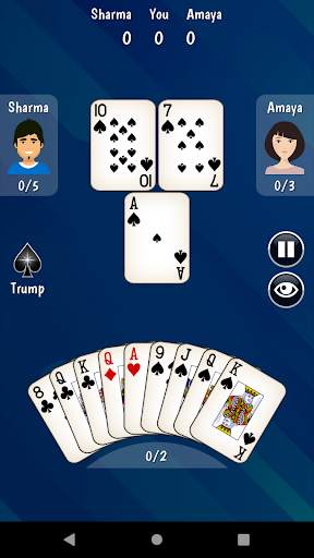 325 Card Game screenshot 3