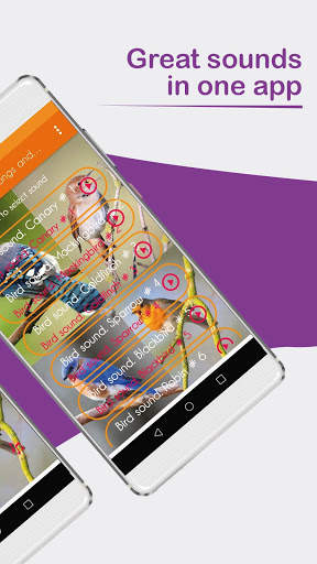 Sounds of birds. Songs and bird tones. screenshot 2