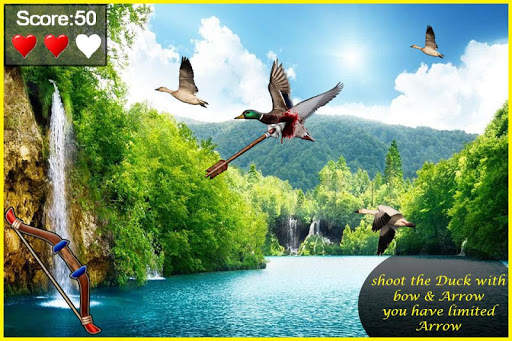 Bird Hunting screenshot 1