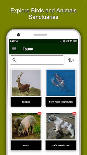 Evora Travel & Explore, Offlin screenshot 5