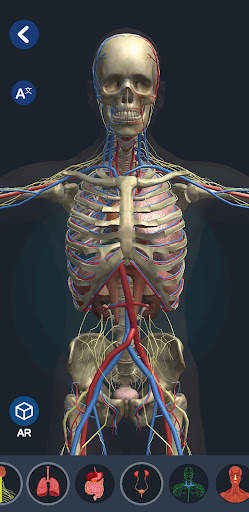 Human Anatomy 3D screenshot 1