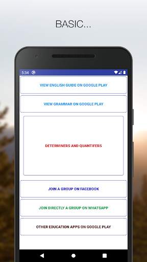 Determiners and Quantifiers screenshot 1