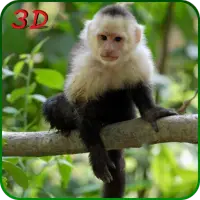 Monkey Simulator 3D on 9Apps
