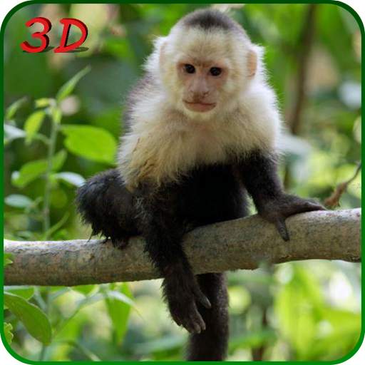 Monkey Simulator 3D 1.3