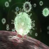Coronavirus Live Tracking &amp; Map icon