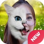 Animal Face Selfie Editor &amp; Stickers εїз icon