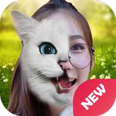 Animal Face Selfie Editor & Stickers εїз 1.0