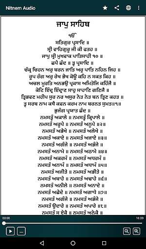 Nitnem (Sundar Gutka) With Audio screenshot 6