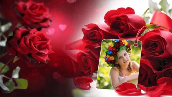 Rose Photo Frames скриншот 4