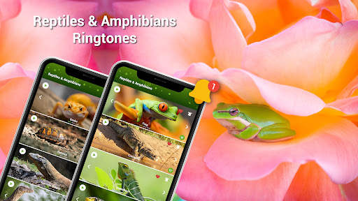 Animal Ringtones - Birds Sound screenshot 6