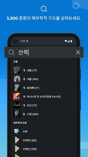 vet-Anatomy screenshot 3