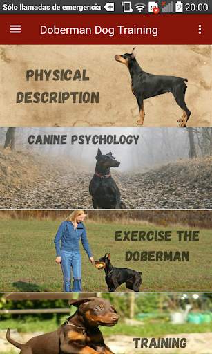 Doberman Dog Training screenshot 11