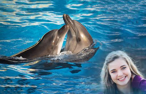 Dolphin Photo Frames screenshot 4