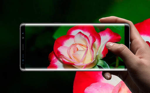 Beautiful Rose Free Live Wallpaper screenshot 10