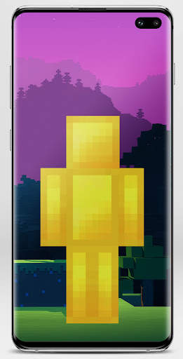 Block Skin for Minecraft screenshot 2