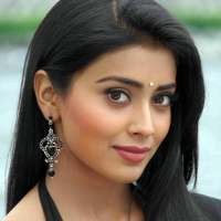 Shriya Saran HD Wallpaper