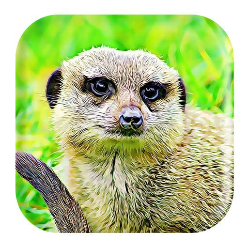 Mongoose Sounds 1.3