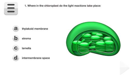Biology Photosynthesis screenshot 17