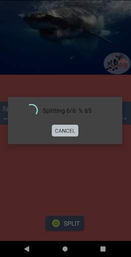 Video Splitter screenshot 4