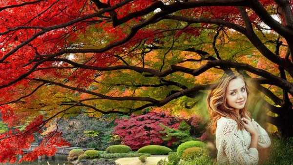 Garden Photo Frame screenshot 2