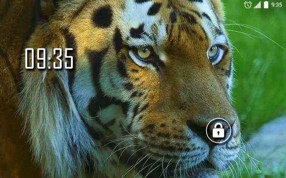 Animals for Kids Live WP screenshot 5