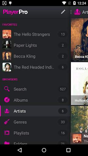 PlayerPro Pink Lady Skin screenshot 3