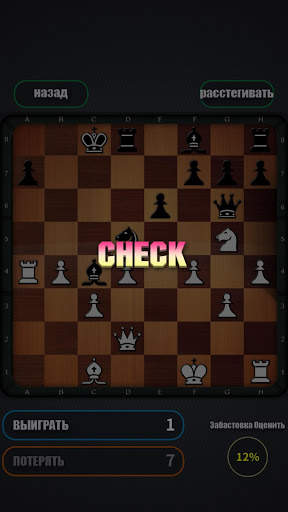 играть в шахматы скриншот 3