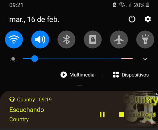 Country Music screenshot 3