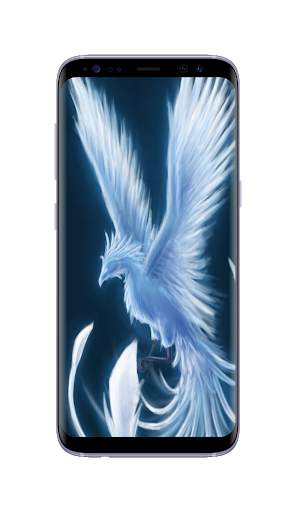 Phoenix Wallpapers HD screenshot 8