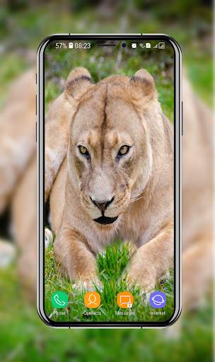 New Lion Wallpaper screenshot 3